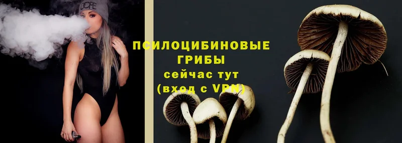 Псилоцибиновые грибы MAGIC MUSHROOMS  MEGA зеркало  Белореченск 